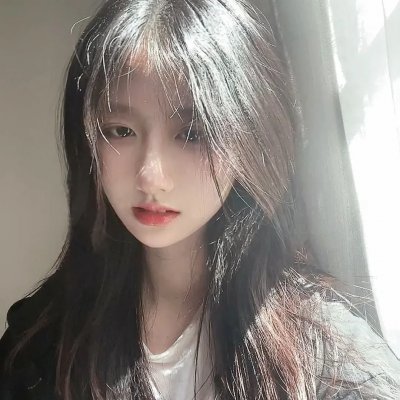森林随处可见