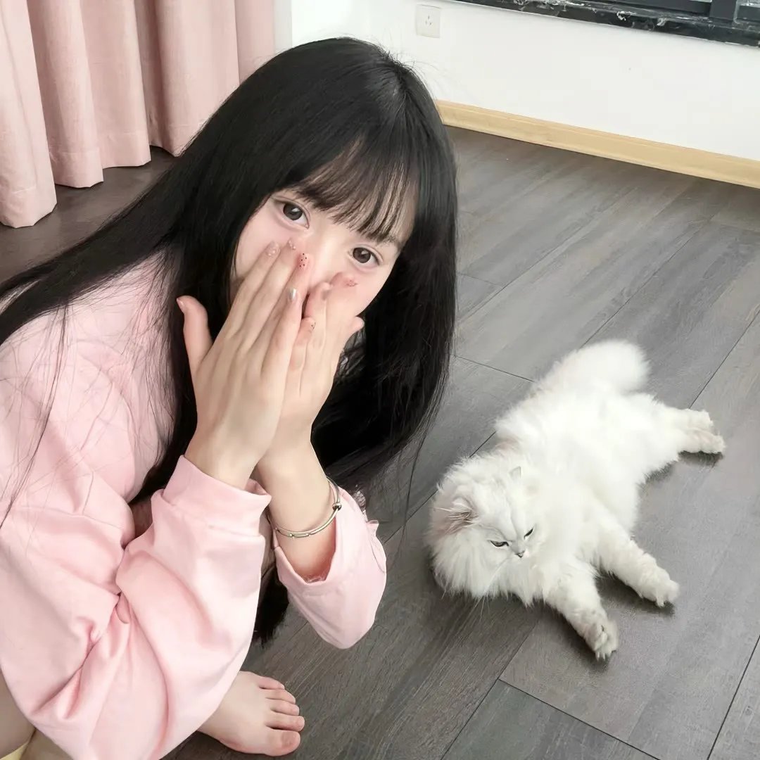 五香宫的猫