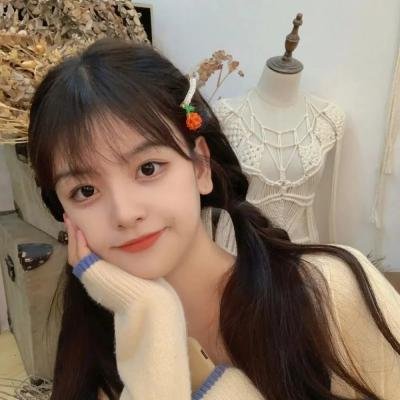 龟女士的奥德赛